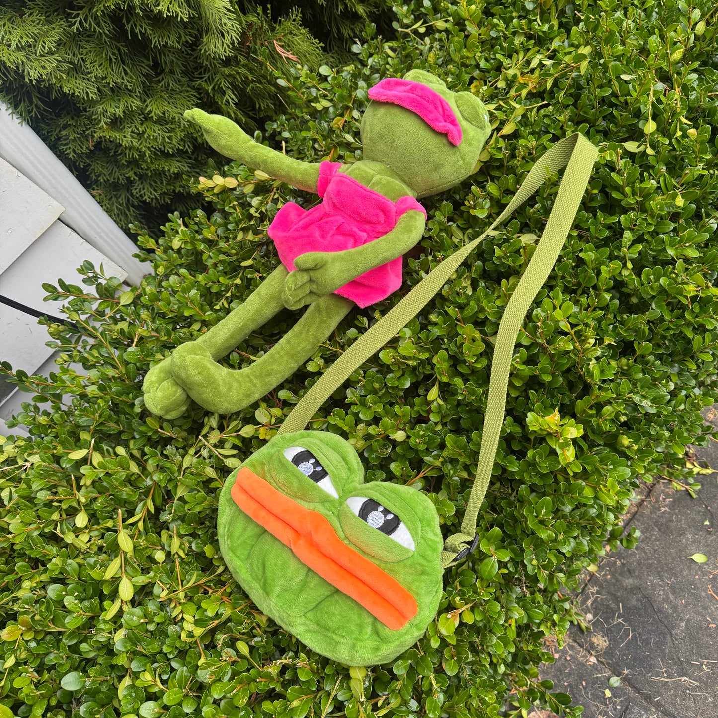 Sad Frog Purse