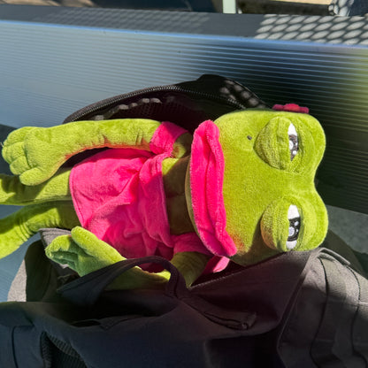 Sad Frog Pepe