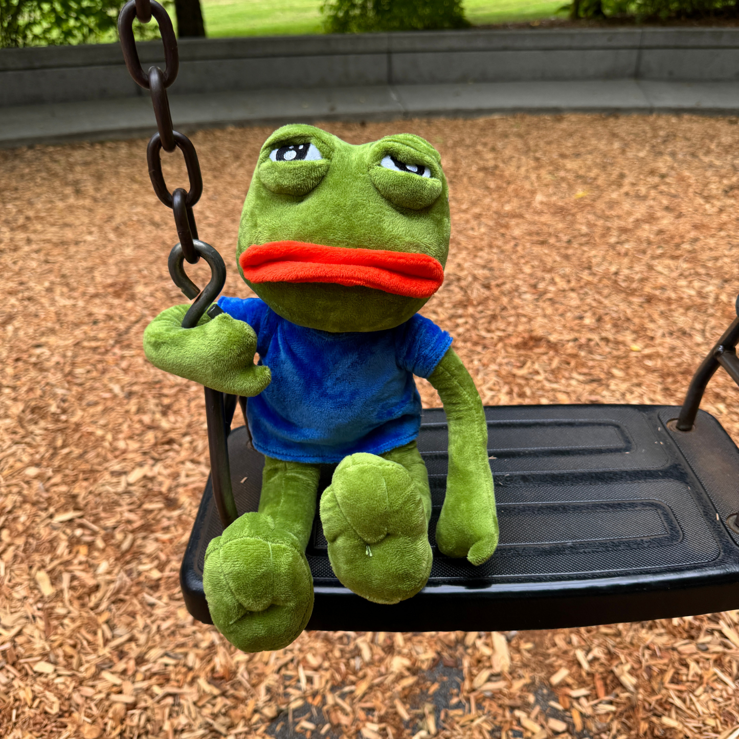 Sad Frog Pepe